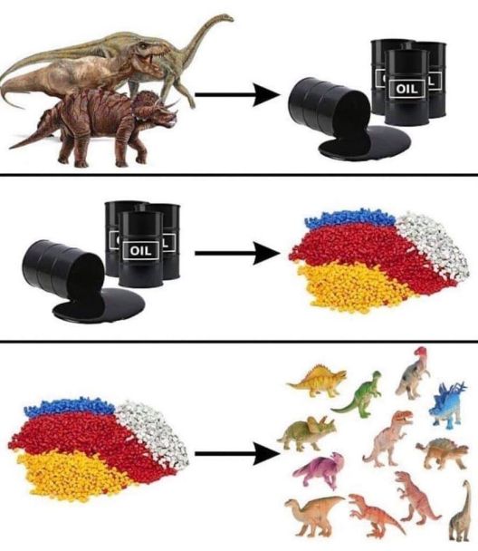 Еволуција